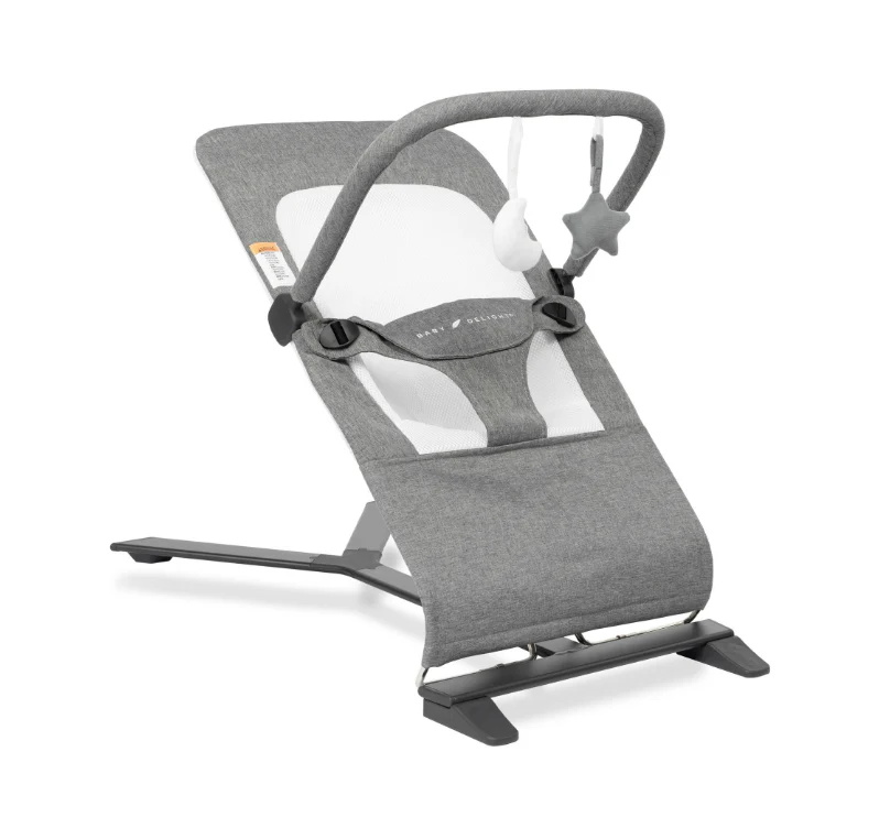 Baby Delight Alpine Deluxe Portable Bouncer, Charcoal Tweed