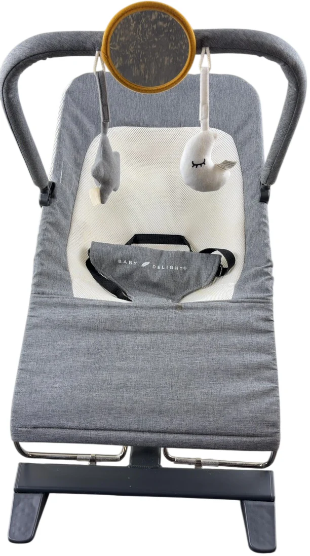 Baby Delight Alpine Deluxe Portable Bouncer, Charcoal Tweed