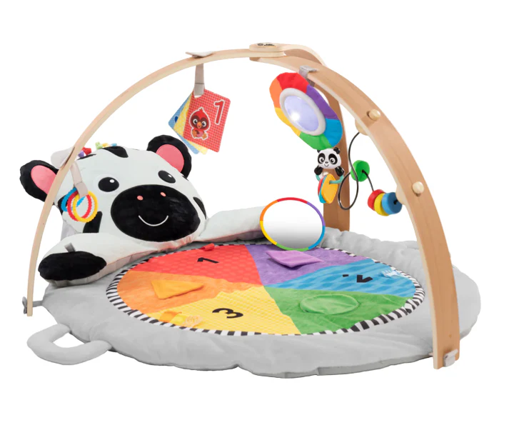 Baby Einstein Activity Gym, Zen's Activity Milestones