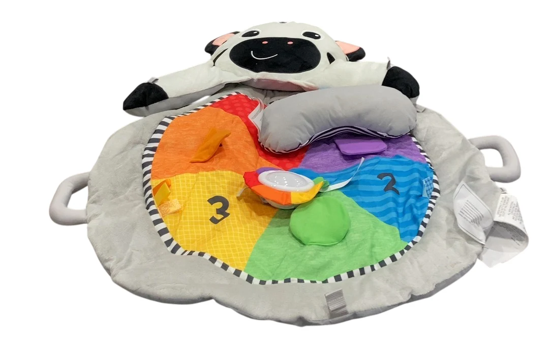 Baby Einstein Activity Gym, Zen's Activity Milestones - Image 2