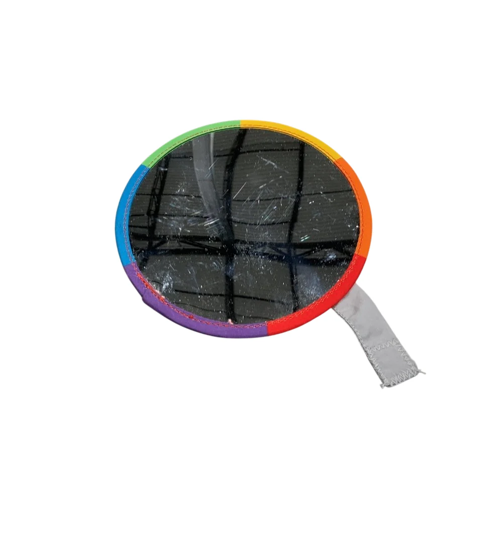 Baby Einstein Activity Gym, Zen's Activity Milestones - Image 3
