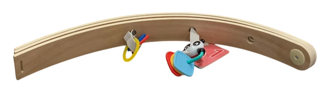 Baby Einstein Activity Gym, Zen's Activity Milestones - Image 5