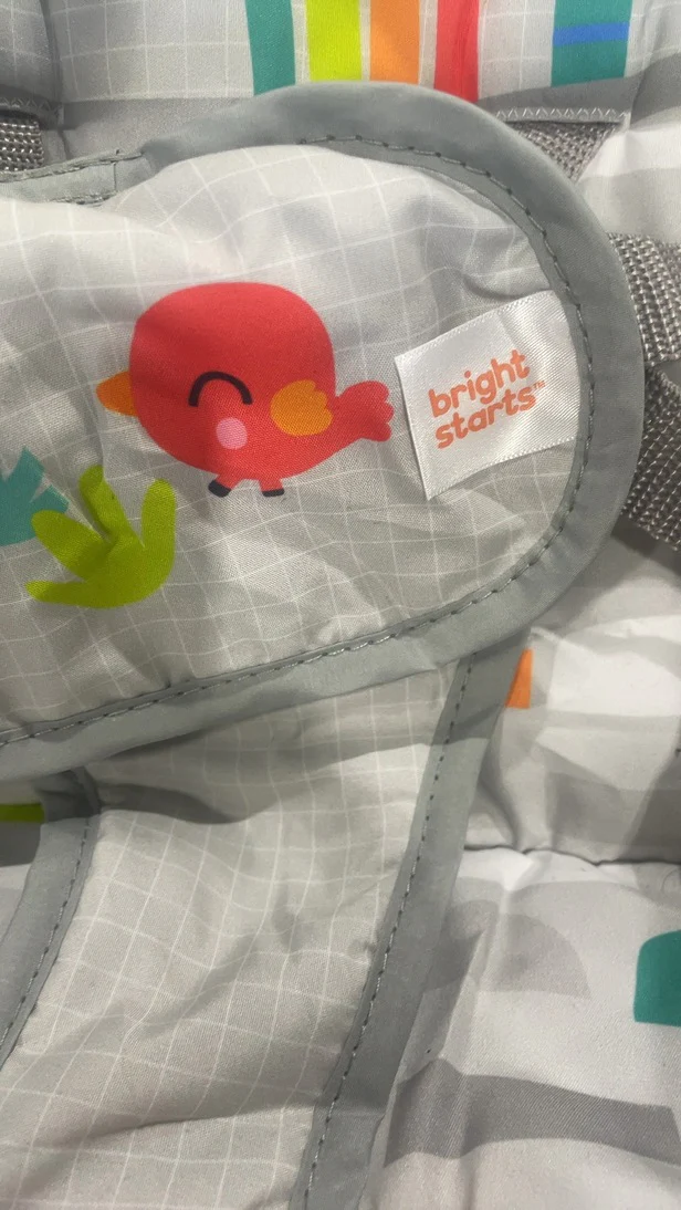 Bright Starts Portable Swing, Playful Paradise - Image 7