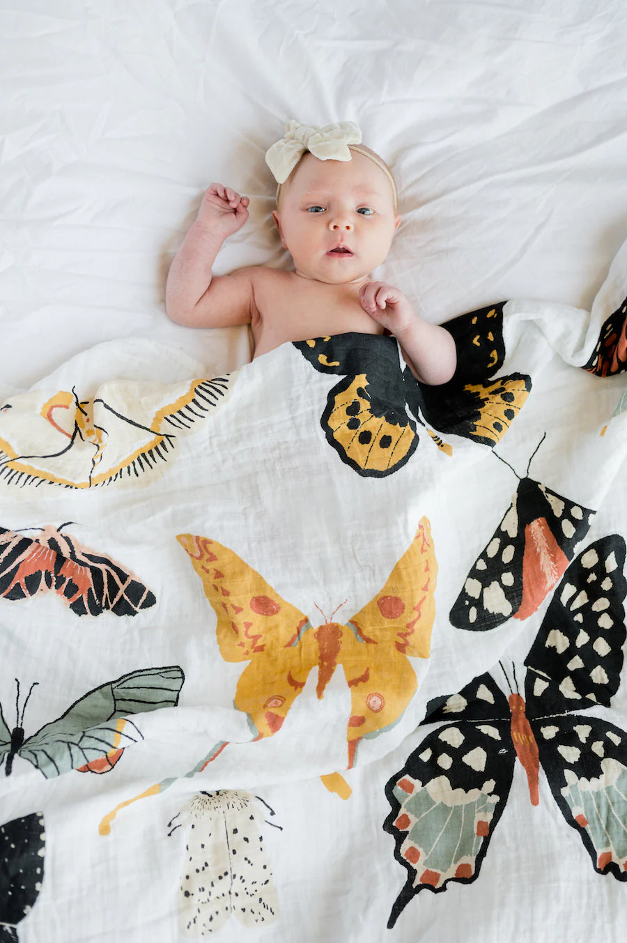 Clementine Kids Butterfly Collector Swaddle - Image 4