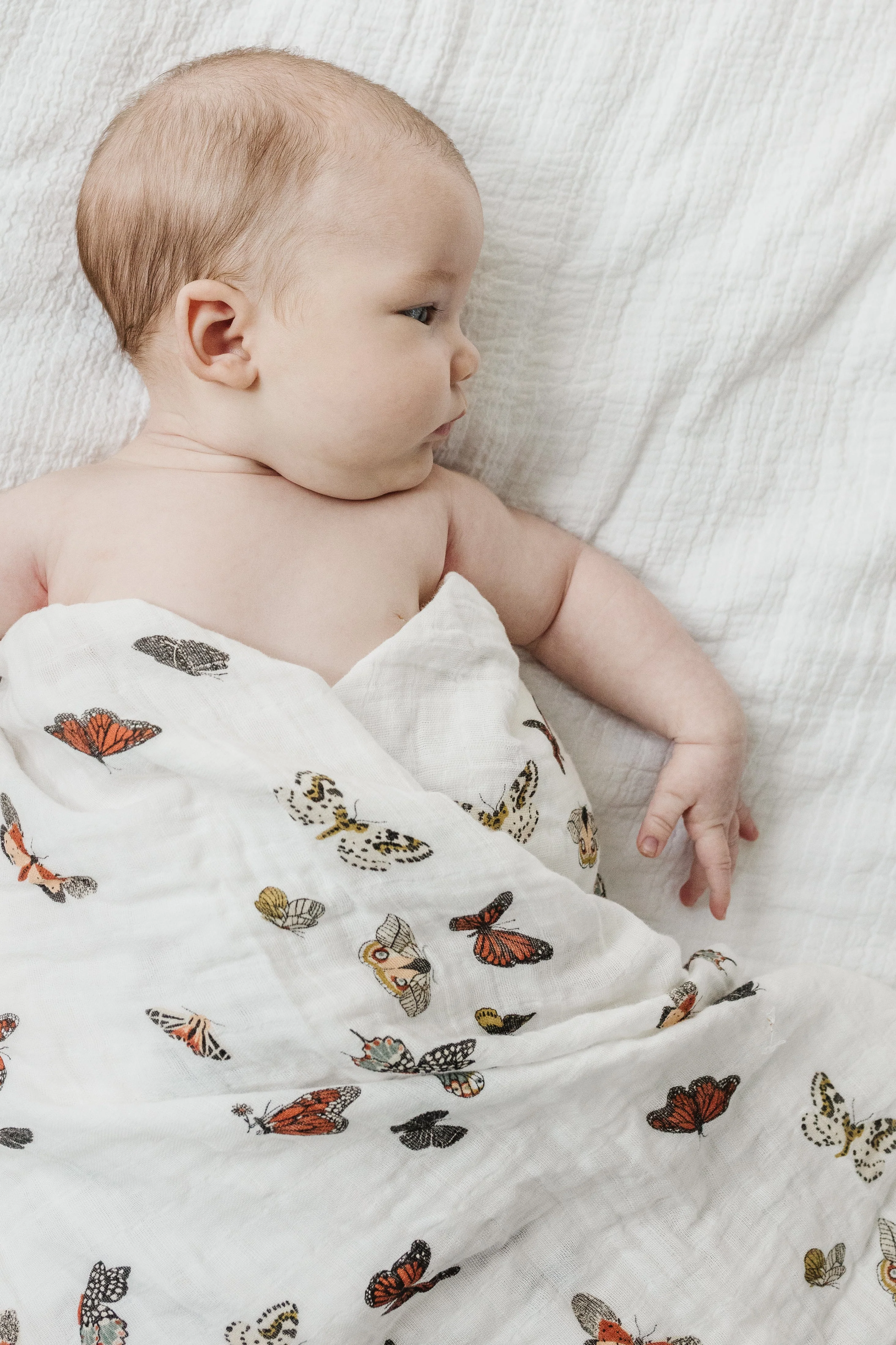 Clementine Kids Butterfly Migration Swaddle - Image 2