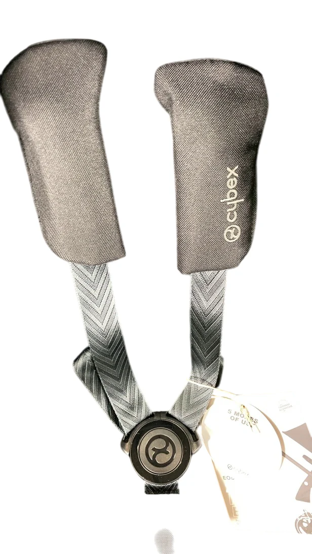 Cybex Eos and Aton G Travel System, Silver, Moon Black, 2024 - Image 6