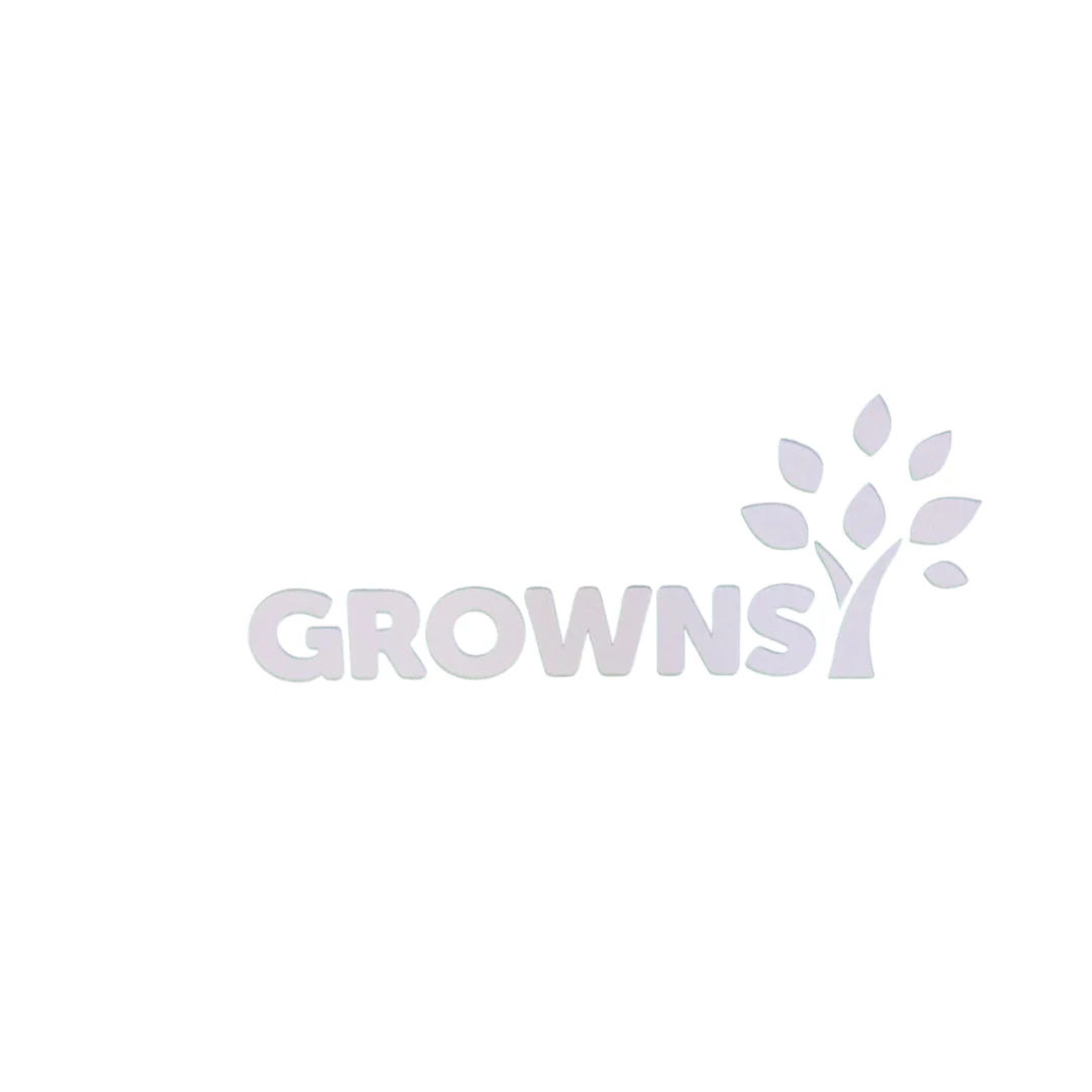 Grownsy Baby Food Maker - Image 3