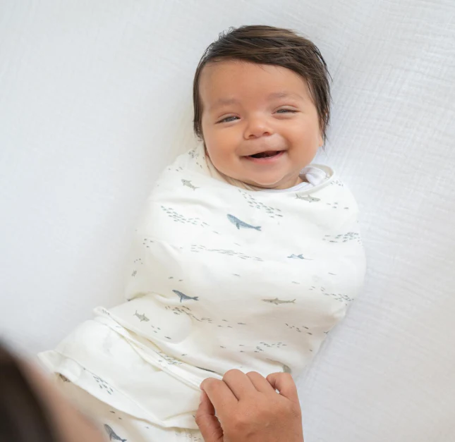 Halo SleepSack Swaddle, Newborn, Ocean Life - Image 2