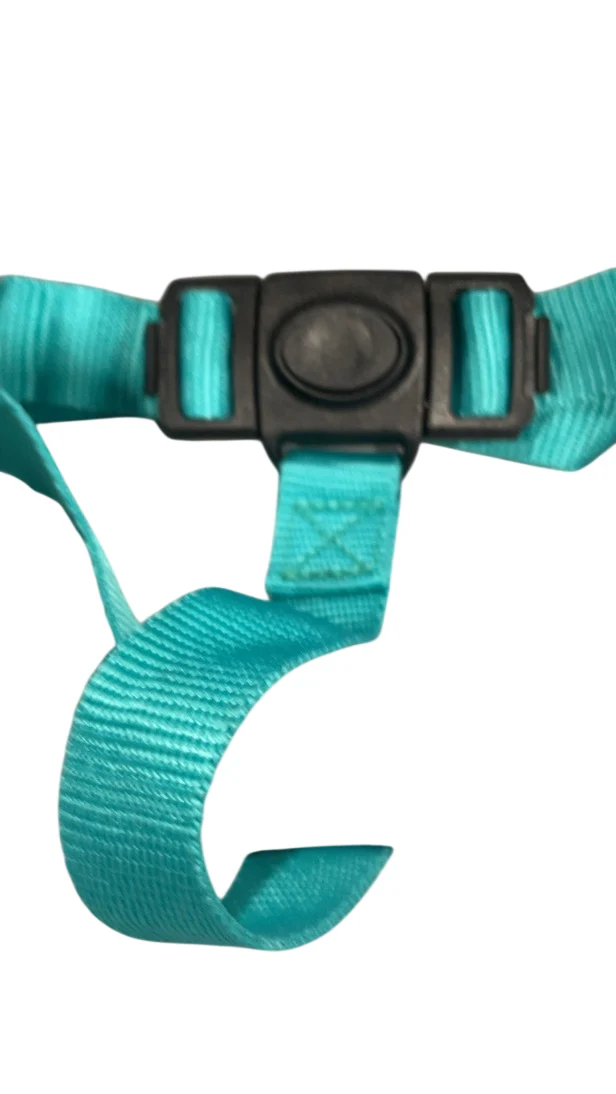 Infantino Music & Lights 3-in-1 Discovery Booster, Teal - Image 4