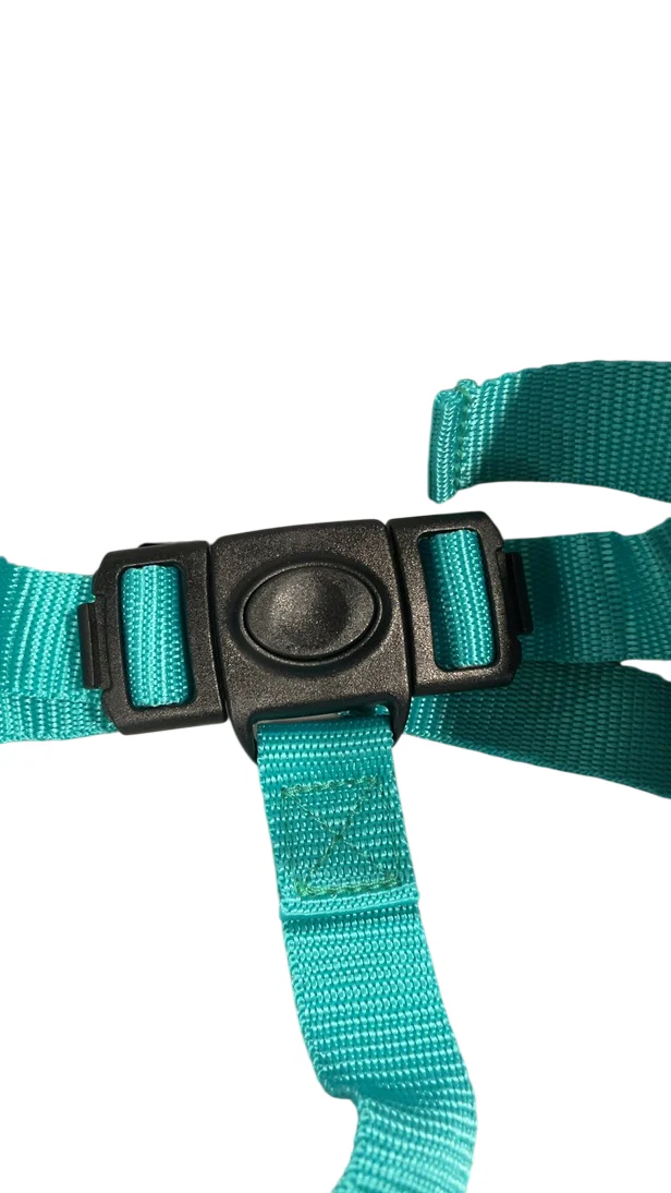 Infantino Music & Lights 3-in-1 Discovery Booster, Teal - Image 4