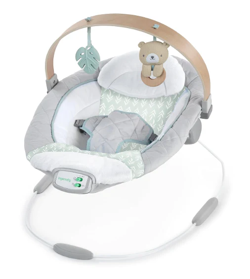 Ingenuity Cozy Spot Soothing Baby Bouncer, Nate