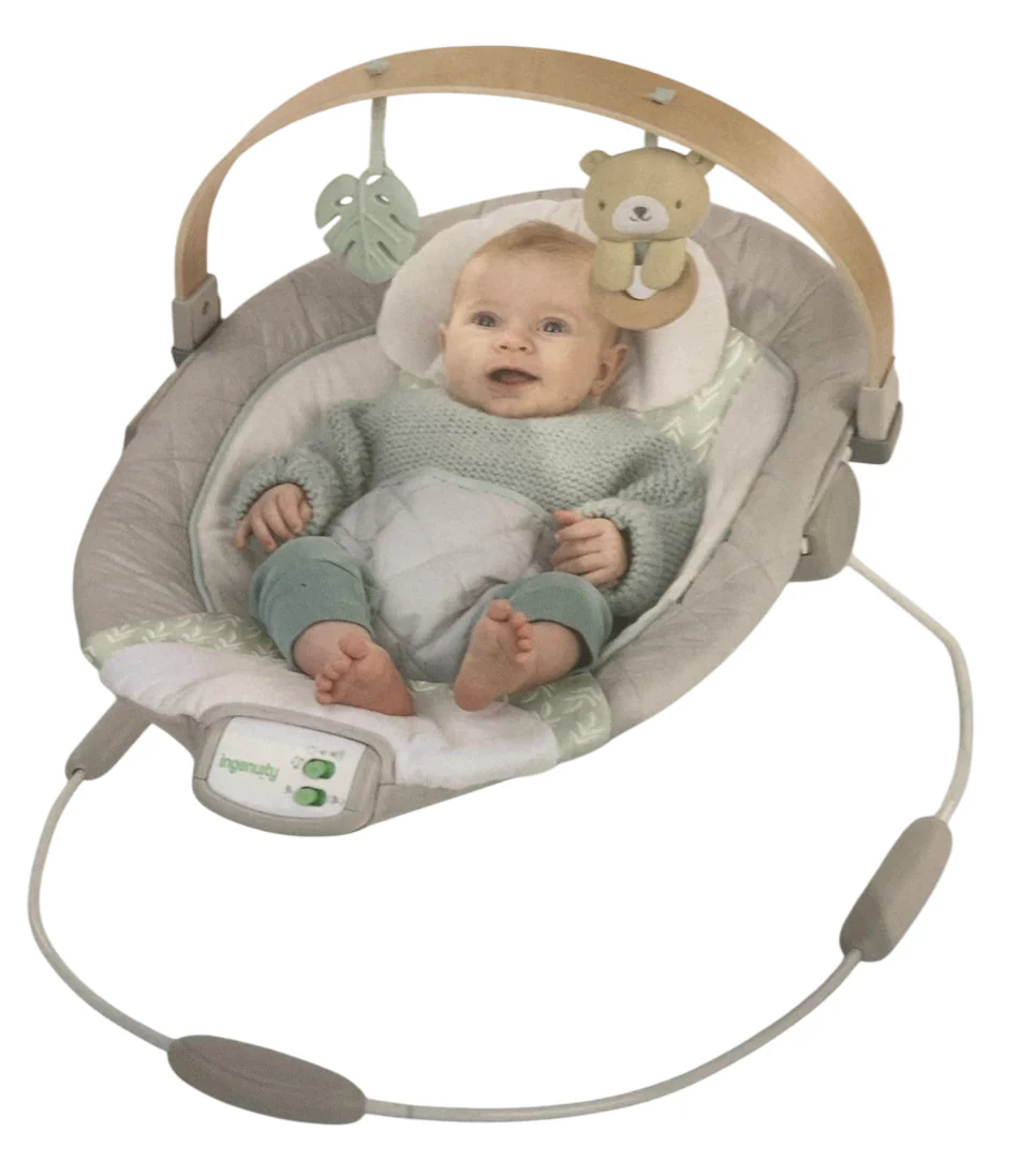 Ingenuity Cozy Spot Swing n Go Portable Swing, Nate