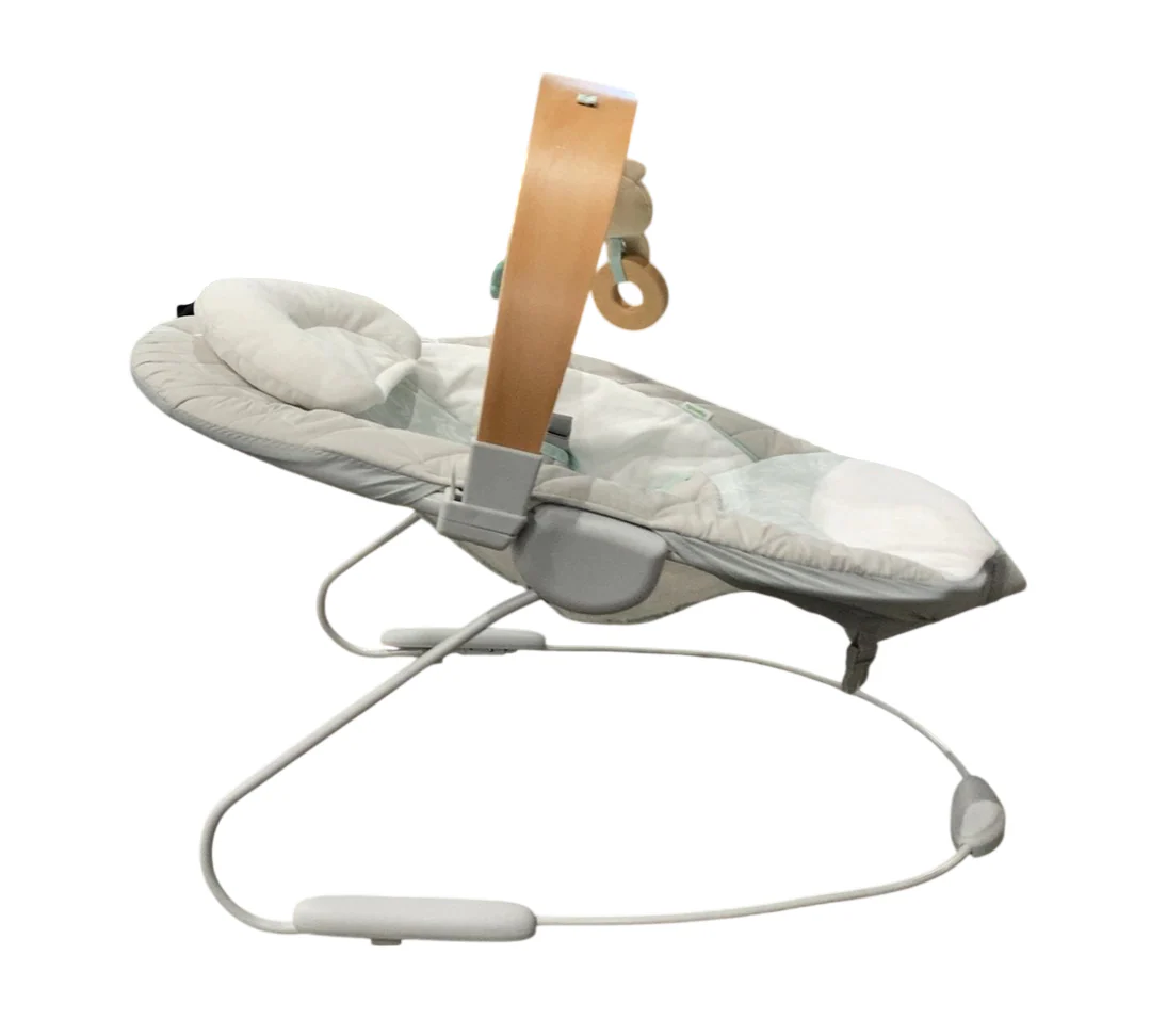 Ingenuity Cozy Spot Swing n Go Portable Swing, Nate - Image 4