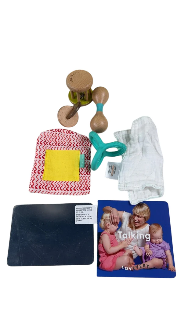 Lovevery The Charmer Play Kit - Image 5