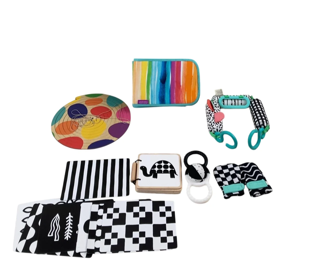 Lovevery The Looker Play Kit, Multicolor