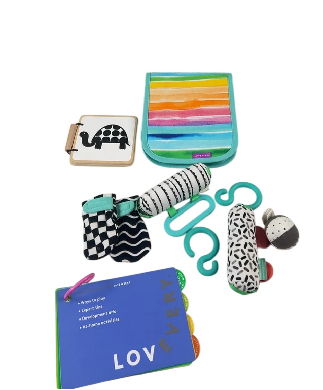 Lovevery The Looker Play Kit, Multicolor