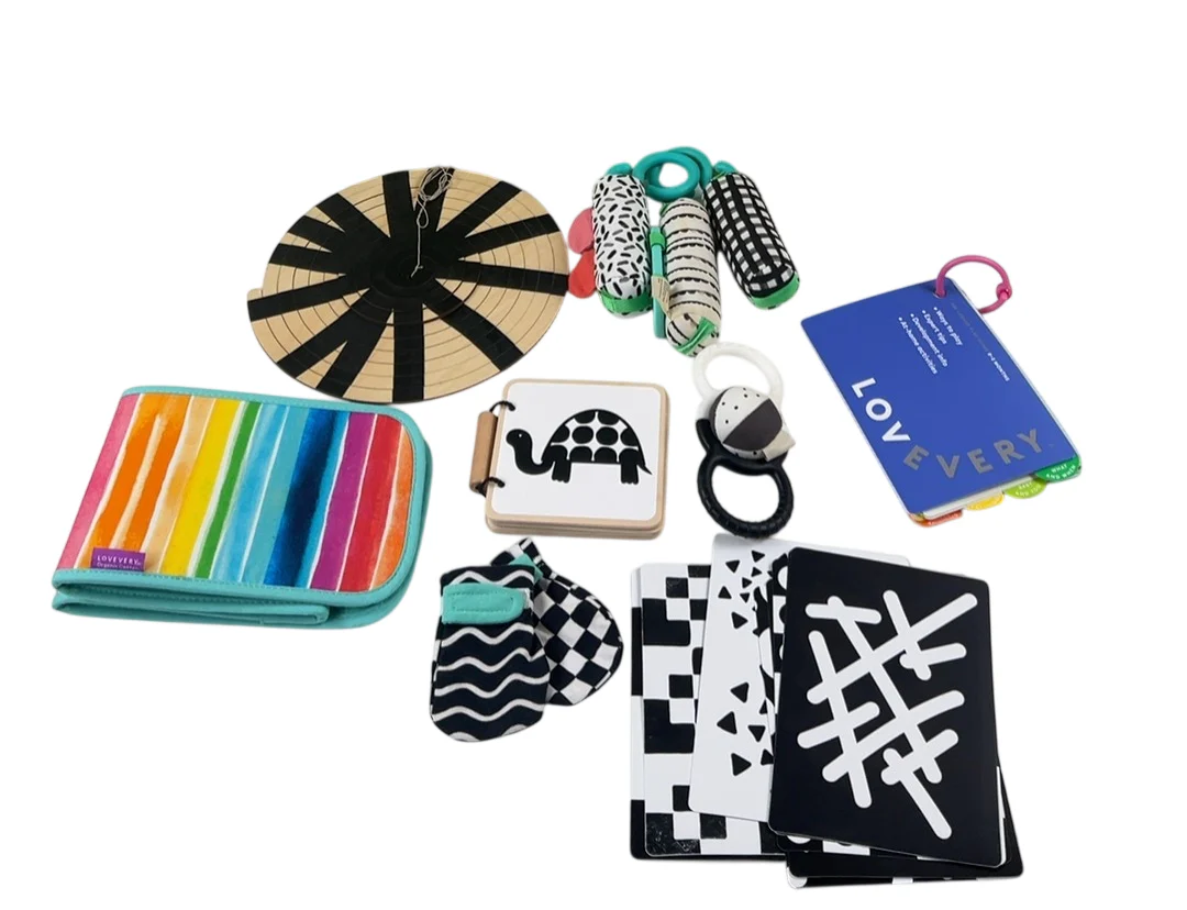 Lovevery The Looker Play Kit, Multicolor