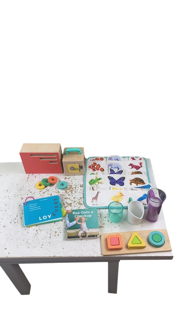 Lovevery The Realist Play Kit