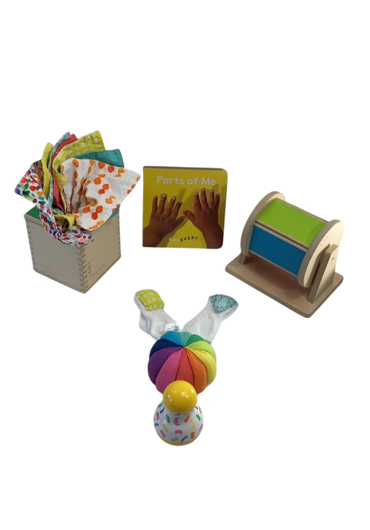 Lovevery The Senser Play Kit