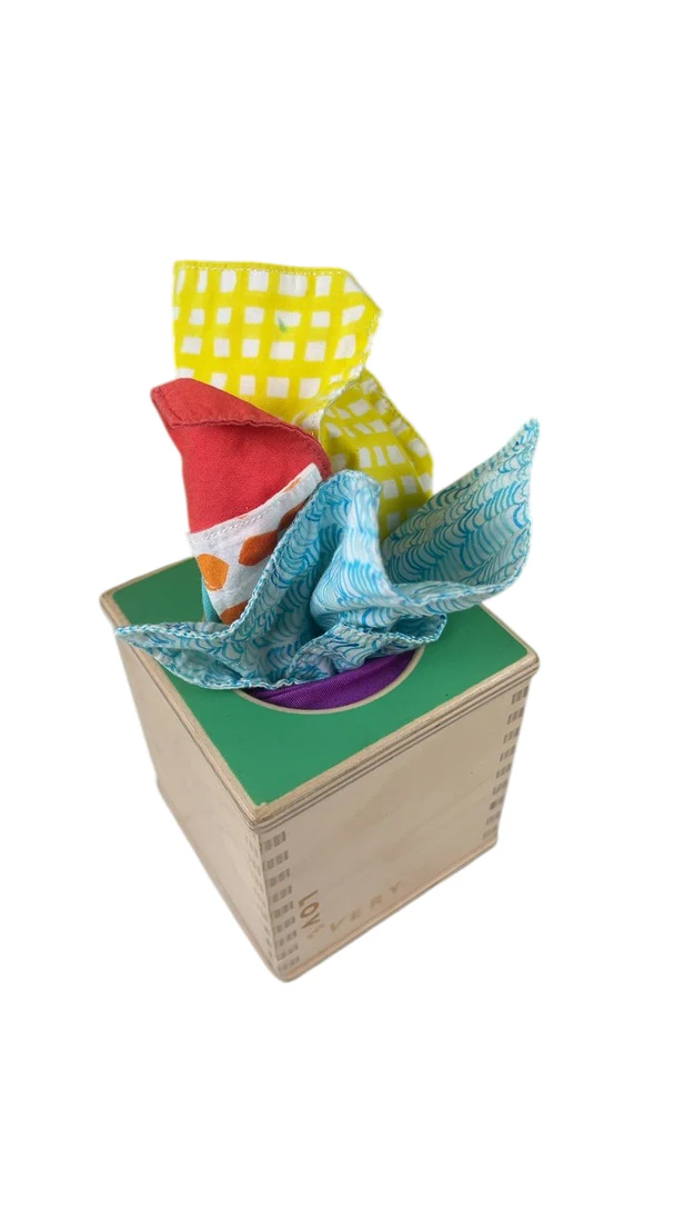 Lovevery The Senser Play Kit - Image 5