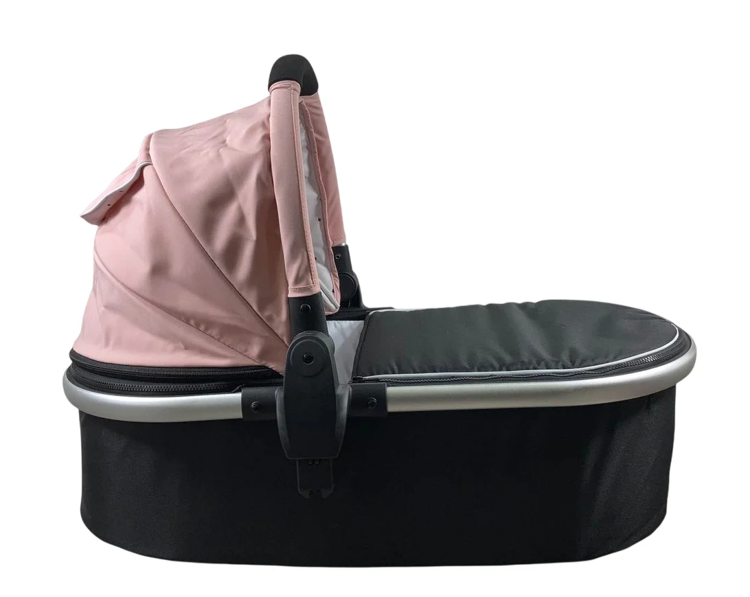 Mockingbird Bassinet, Bloom