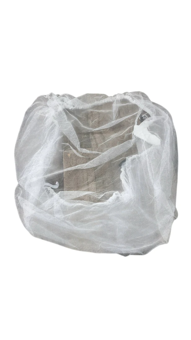 Mockingbird Mosquito Net, White