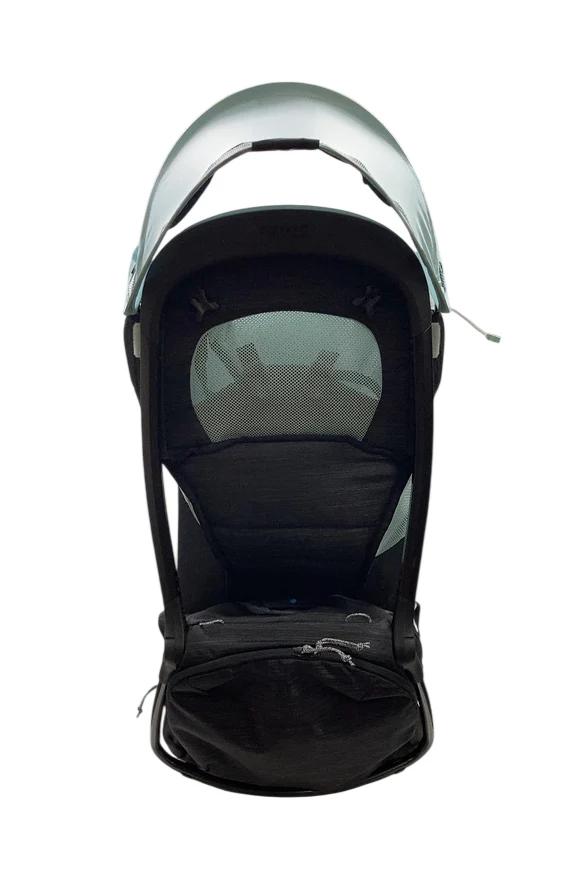 Thule Sapling Child Carrier, Black