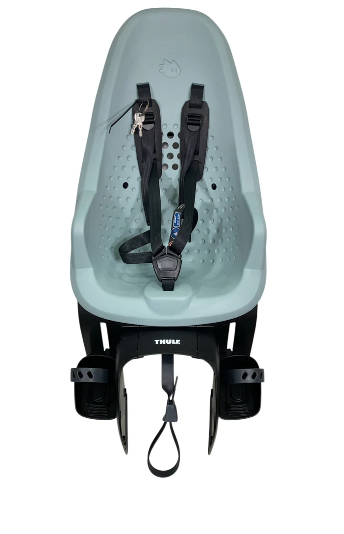 Thule Yepp 2 Maxi, Alaska, Rack Mount