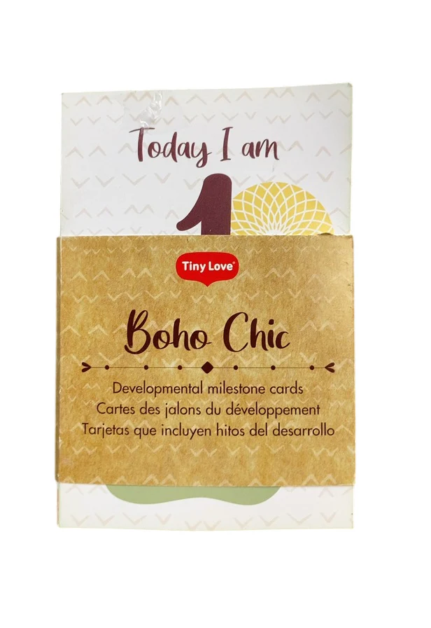 Tiny Love Boho Chic Luxe Developmental Gymini - Image 4