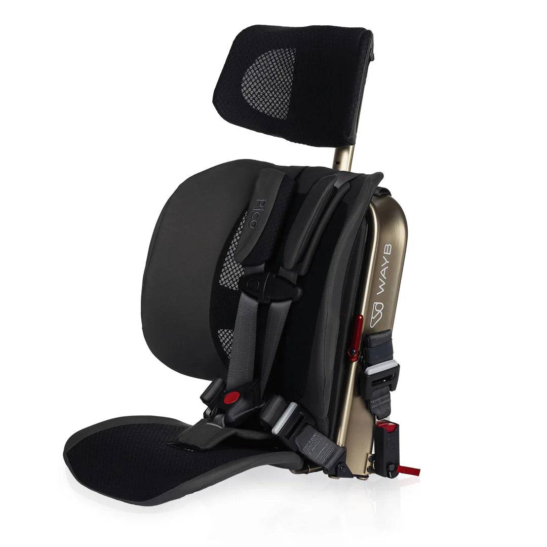 WAYB Pico Portable Car Seat, Earth, 2025