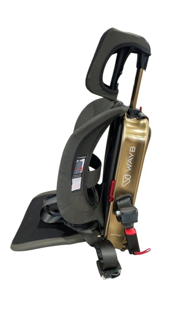 WAYB Pico Portable Car Seat, Earth, 2025 - Image 4